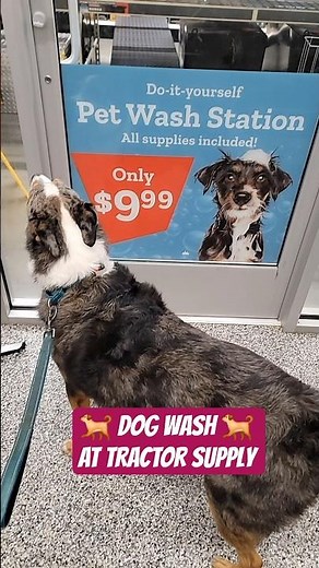 Dog Wash Station at Tractor Supply Store in Woodbridge VA 🐾🚿