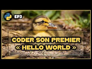 Premier programme | Python - EP3