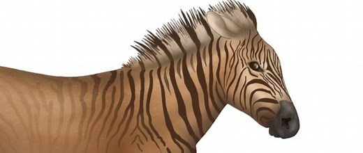 Quagga