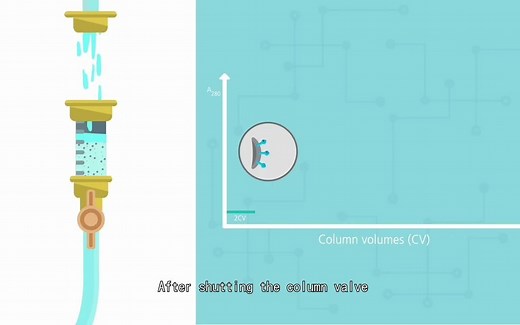 Principles of Protein Purification (Affinity Chromatography)；蛋白质纯化原理(亲和层析)