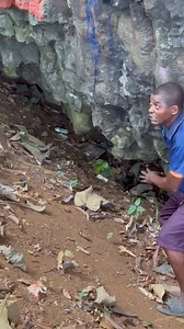 Most beautiful girl Ikom beauty pageant models still taking lectures from Mr Assam the custodian of Agborkim waterfalls area | Yoko Ngo