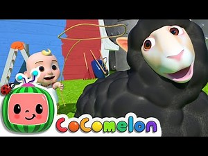 [ 1 HOUR ] Baa Baa Black Sheep - Cocomelon | Nursery Rhymes For Kids