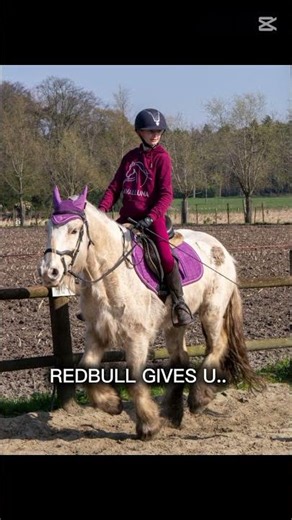 #storm #horse #equestrian #jumping