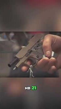 Gun Control Laws: Liability vs. Criminals Explained #shorts