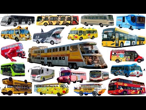 The BIG BUS - Tổng Hợp Phương Tiện Giao Thông BUS | School Bus, City Bus, Coach, Police Bus