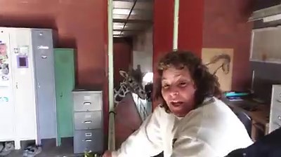 9.8K views · 321 reactions | “Every wonder how we feed giraffes inside? Come along for a ride!!! Every day we clean out the old alfalfa and give the giraffes new alfalfa, browse (leaves) and grain. They get about 20 pounds of alfalfa a day, about 10 pounds of grain and about 16 pounds of browse each!” –Hoofstock Keepers #TakeoverTuesday | Denver Zoo Conservation Alliance | Facebook