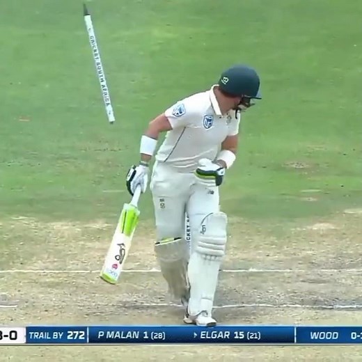 "Mark wood thrashing stumps💥, Stumps up rooted 🔥