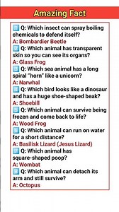 👉 Animals With Real Superpowers 🐾 | 8 Unbelievable Creatures on Earth