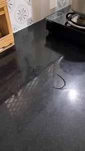 935K views · 18K reactions | How I always keep my kitchen Clean #kitchen #home #kitchentips #kitchenhacks | Jasmine Choudhari | Facebook