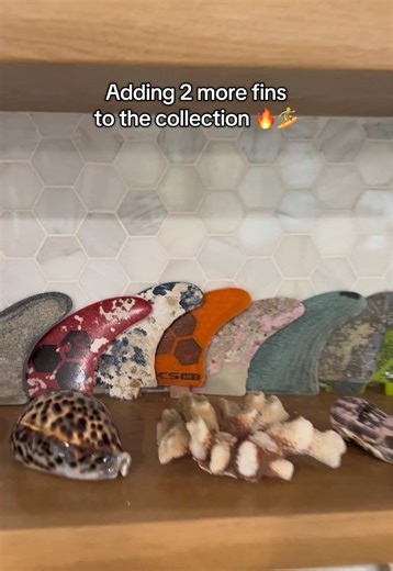 Growing My Fins Collection: Hitting 10!