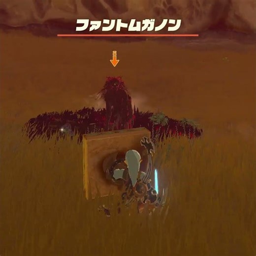 【ティアキン】カザーナ裂谷のファントムガノン ゼルダの伝説ティアーズオブザキングダム #ゼルダの伝説 #ティアキン #zelda #shorts