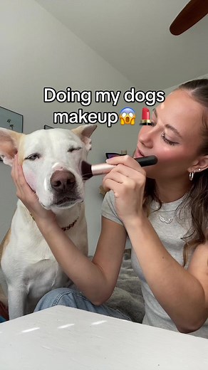 Glamming Up Yuki: Dog Makeup Challenge and Funny Moments