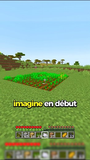 Construire une ferme à poudre d'os dans Minecraft
