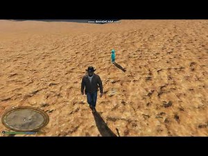 Toddler Carry Script Test 1