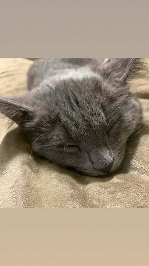 5.9K views · 373 reactions | MANO SURGERY IS SCHEDULED, but we still...