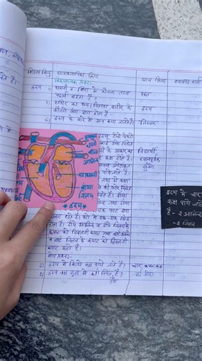 हृदय दैनिक पाठ योजना बीएड / Bstc #D.El.Ed #B.Ed daily lesson plan #bstc