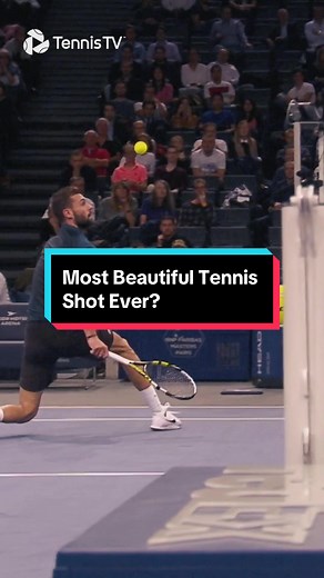 Most beautiful shot ever? #tennis #tennistv #paris | Tennis