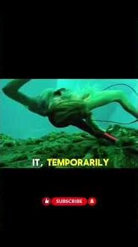 movie : The Shallows movie explanation #shorts #viral #movieexplained