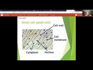 1406 Lab Video: Plant Cell Structures (Onion Cell Slide)