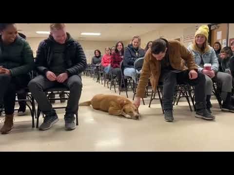 When Dogs Choose Their Owners | Real December Adoption Event