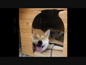 OBSでゲームキャプチャーできないOriginゲームを超簡単に直す方法