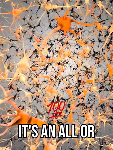 #19 Neuron Firing_ All or None Explained Simply