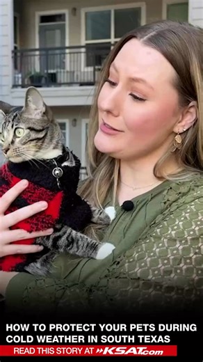 One day it’s sunny and warm, the next we’re bundling up. But those temperature swings don’t just affect us; they also affect our pets. FULL LIST OF TIPS: https://www.ksat.com/weather/2025/12/26/how-to-protect-your-pets-during-cold-weather-in-south-texas/?utm_source=facebook&utm_medium=social&utm_campaign=snd&utm_content=ksat12 KSAT Shelby Ebertowski | KSAT 12 & KSAT.com