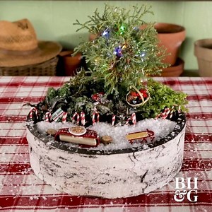 No room for a Christmas tree in your small space? Plant a miniature Christmas garden in about 30 minutes! Follow our step-by-step instructions: https://trib.al/sAEKplo | Made by Me