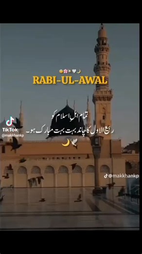 lassani Fall celling on TikTok