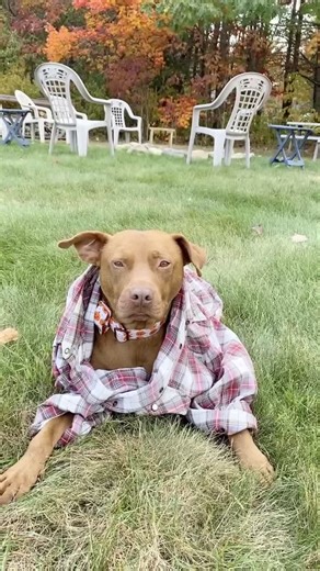 I fink I’m too literal #tatumtalks