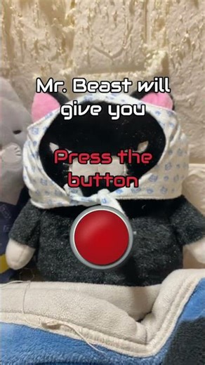 Mr. Beast only give me 5 😭🙏 #funny #mrbeast #cat