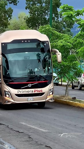 Primera Plus: Disfruta tu Viaje en Autobús