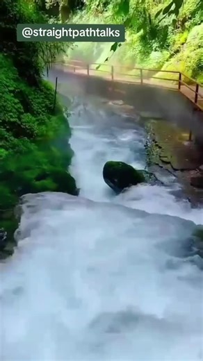 "Islamic knowledge, daily duas, and reflections on life in accordance ...