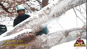 Winter is the perfect time for tree work! Whether it’s pruning, removing dead limbs, or clearing land, our team is here to get it done safely and efficiently. Watch the video and give us a call to schedule your winter tree service today!  (423) 760-TREE (8733)  www.lumberjackstn.com | Lumberjacks Tree Service | Facebook