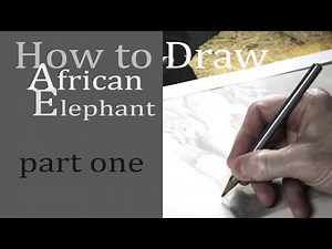 How To Draw an African Elephant - part 1 drawing and shading