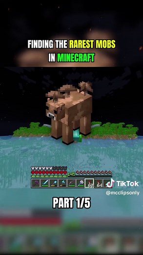 Discovering the Rarest Mobs in Minecraft