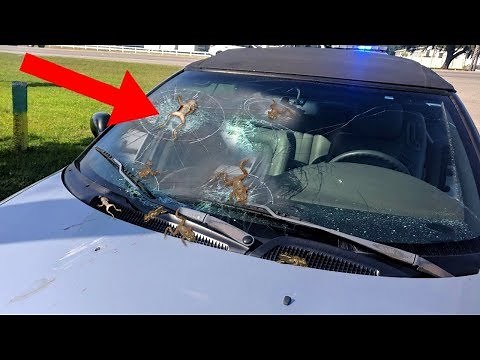 Most Mysterious UNEXPLAINED Natural Phenomena!