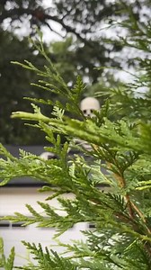 3 comments | Halloween Pre-sale 50% OFF–Towering Skeleton with LED Eyes & Haunting Sounds " Unleash the ultimate Halloween vibe with our Towering Skeleton! Standing tall and eerie, it's the perfect addition to any haunted setupImpress your guests and elevate your spooky decor game this season!  https://www.crownselects.com/products/toweringskeleton" | Button Factory | Facebook