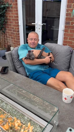 12K views · 420 reactions | Cuddle 殺 time with my little man  #puppycuddles | Staffy Lover | Facebook