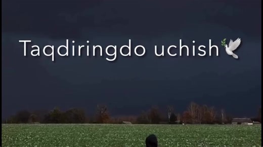 Asl Wayne New trac #track #hiphop #repost