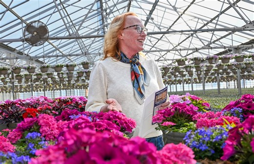 A lot goes into making those oversized flowerpots a success in Detroit Lakes
