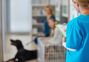 Pet Aesthetician Course: Introductory Science (ex Module 1)