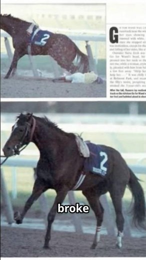 The Filly of the Century: Ruffian’s Unbeaten Legacy