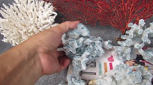 Natural Blue Coral, Real Ocean Coral Decor, Coasta, Home Decor, Aquarium Decoration, Real Coral, Aquarium, Decorative Aquarium Coral, Coral - Etsy