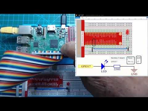 Raphael Kit: Salida | Pantallas | LED Parpadeante