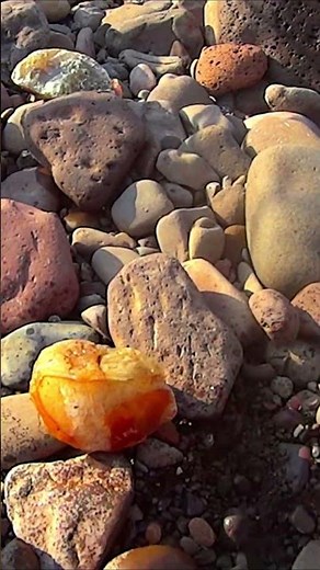 Discovering Rare Geodes in the Mysterious River – Amazing Finds!