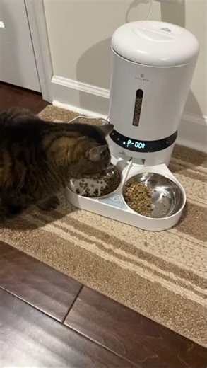 You are my best friend featuring Lilly and Squishy Cat