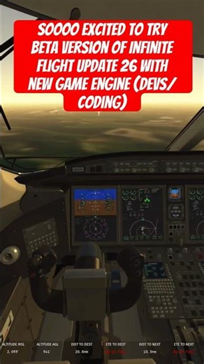 #flightsimulator #infiniteflight #update26 #betaversion #testing #instructions #merrychristmas❤️