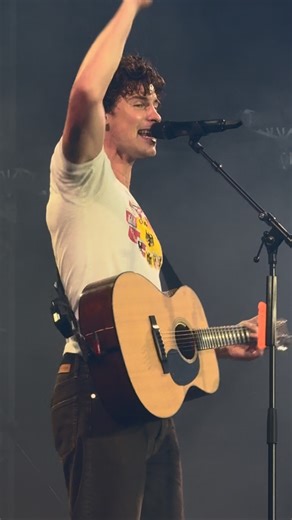 ShawnAccess on Instagram: "Never getting over #Stitches live 💙"