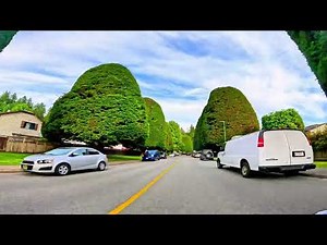 Long 4K: August Ride Through Beautiful BC 🇨🇦 | Vulcan 900 Solo Cruise Under Blue Skies in Stunning